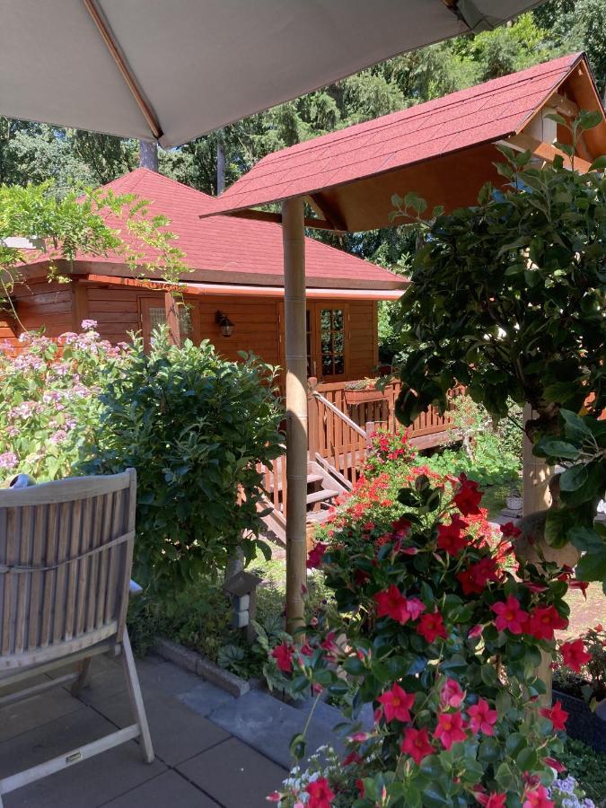 B&B Porcini Ermelo Εξωτερικό φωτογραφία